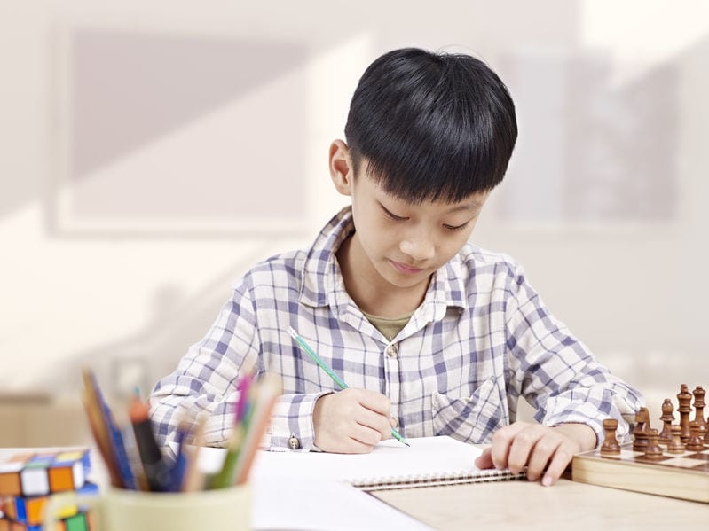 A schoolchild diligently completes his homework