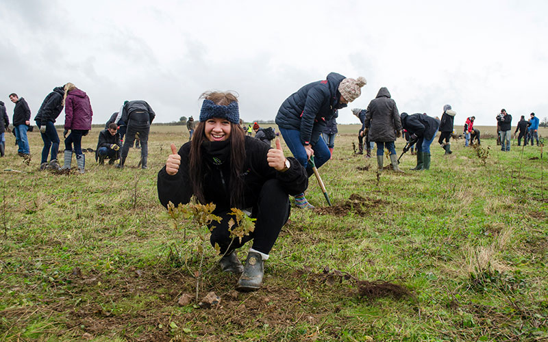 spc staff planting trees