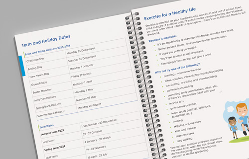 example information pages for primary planner