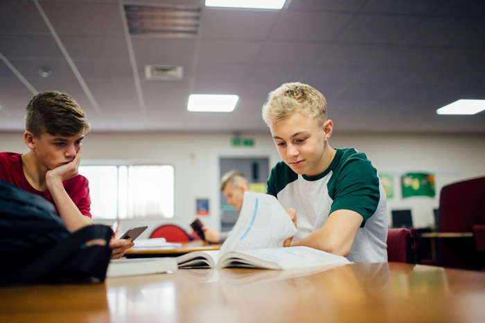 pupil reading in the school library